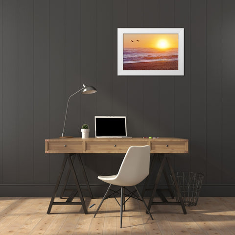 WA, Olympic NP Canada geese over Rialto Beach White Modern Wood Framed Art Print by Paulson, Don