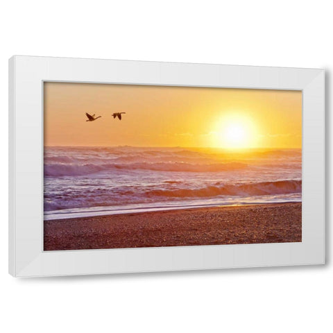WA, Olympic NP Canada geese over Rialto Beach White Modern Wood Framed Art Print by Paulson, Don
