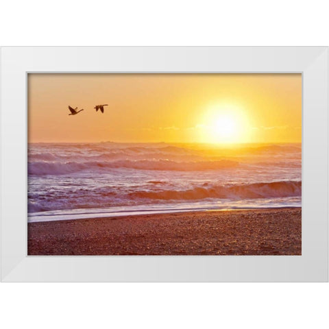 WA, Olympic NP Canada geese over Rialto Beach White Modern Wood Framed Art Print by Paulson, Don