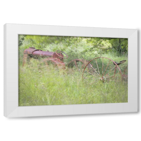 WA, Seabeck Rusty old tractor in grasses White Modern Wood Framed Art Print by Paulson, Don