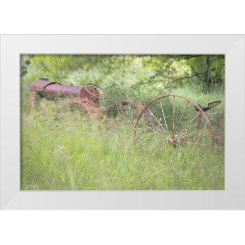 WA, Seabeck Rusty old tractor in grasses White Modern Wood Framed Art Print by Paulson, Don