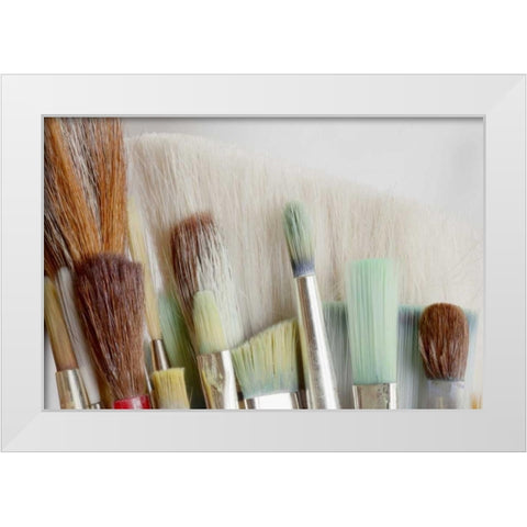 Washington, Seabeck Close-up of artists brushes White Modern Wood Framed Art Print by Paulson, Don