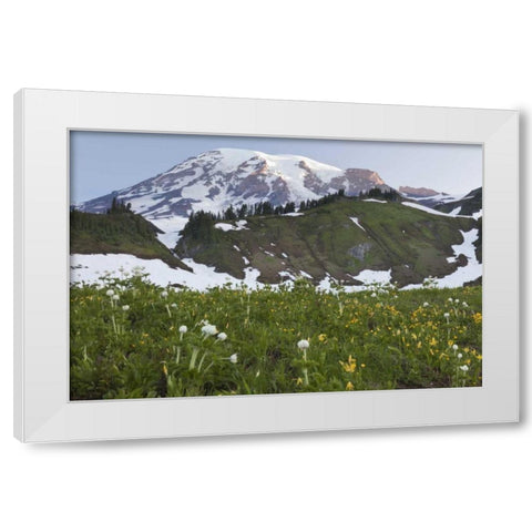 WA, Mt Rainier NP Sunrise on meadow with flowers White Modern Wood Framed Art Print by Paulson, Don