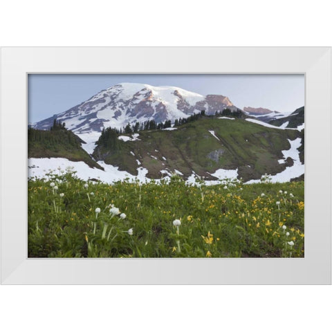 WA, Mt Rainier NP Sunrise on meadow with flowers White Modern Wood Framed Art Print by Paulson, Don