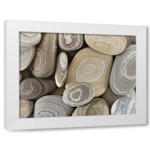 Washington, Seabeck Close-up of beach stones White Modern Wood Framed Art Print by Paulson, Don