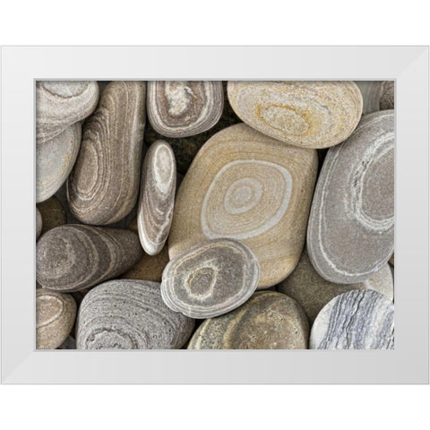 Washington, Seabeck Close-up of beach stones White Modern Wood Framed Art Print by Paulson, Don