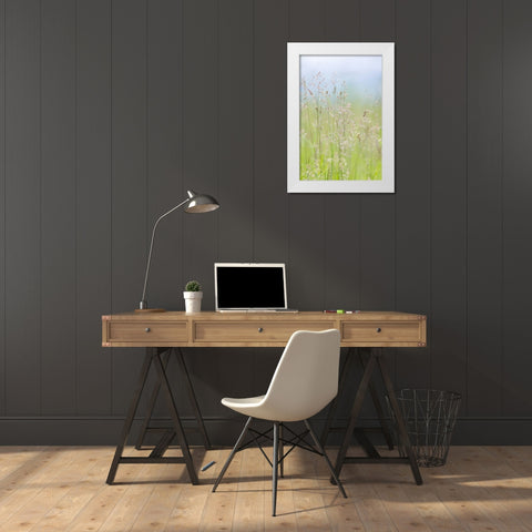 USA, Washington, Seabeck Grasses in motion White Modern Wood Framed Art Print by Paulson, Don