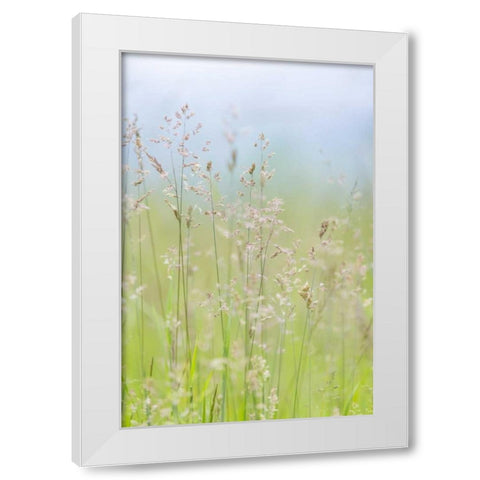USA, Washington, Seabeck Grasses in motion White Modern Wood Framed Art Print by Paulson, Don