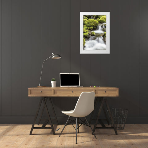 Washington, Olympic NP Small stream in forest White Modern Wood Framed Art Print by Paulson, Don