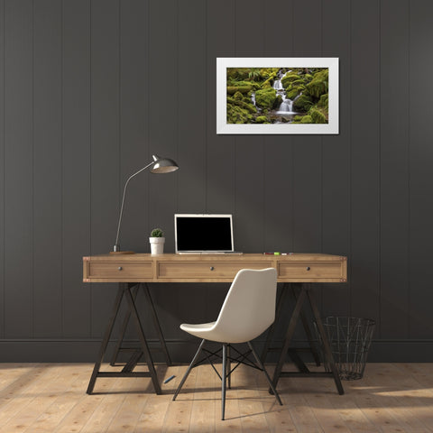 Washington, Olympic NP Small stream in forest White Modern Wood Framed Art Print by Paulson, Don