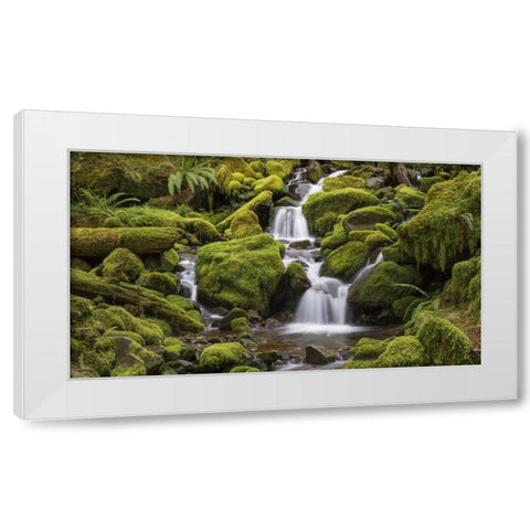 Washington, Olympic NP Small stream in forest White Modern Wood Framed Art Print by Paulson, Don