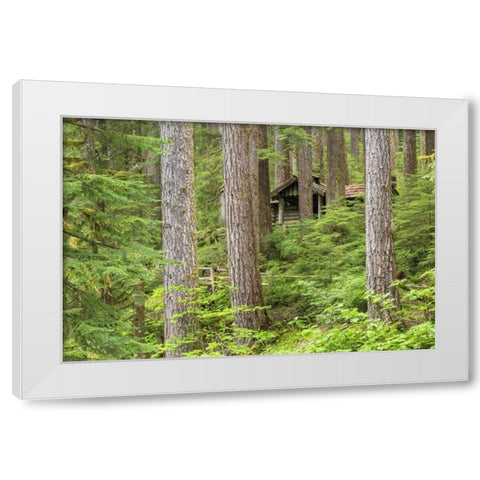 USA, Washington, Olympic NP Forest cabin shelter White Modern Wood Framed Art Print by Paulson, Don