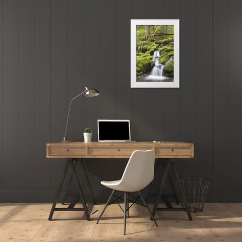 Washington, Olympic NP Small stream in forest White Modern Wood Framed Art Print by Paulson, Don