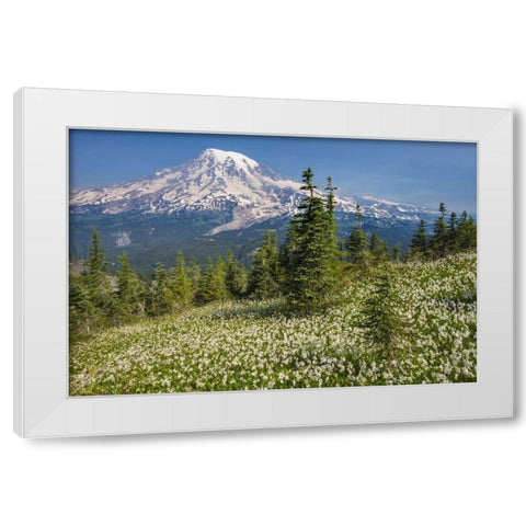 Washington Avalanche lilies and Mount Rainier White Modern Wood Framed Art Print by Paulson, Don