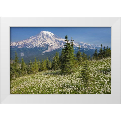 Washington Avalanche lilies and Mount Rainier White Modern Wood Framed Art Print by Paulson, Don