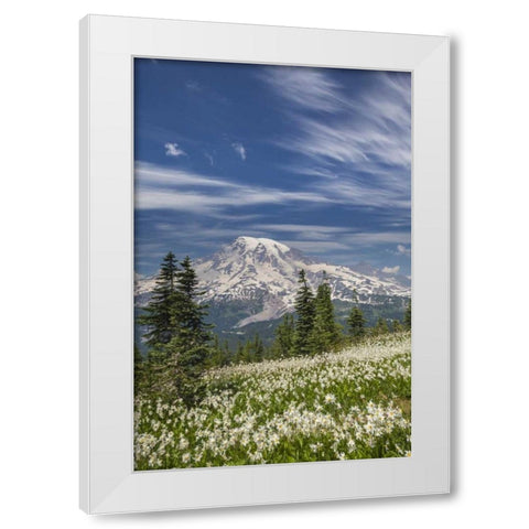 Washington Avalanche lilies and Mount Rainier White Modern Wood Framed Art Print by Paulson, Don