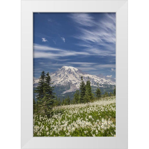 Washington Avalanche lilies and Mount Rainier White Modern Wood Framed Art Print by Paulson, Don