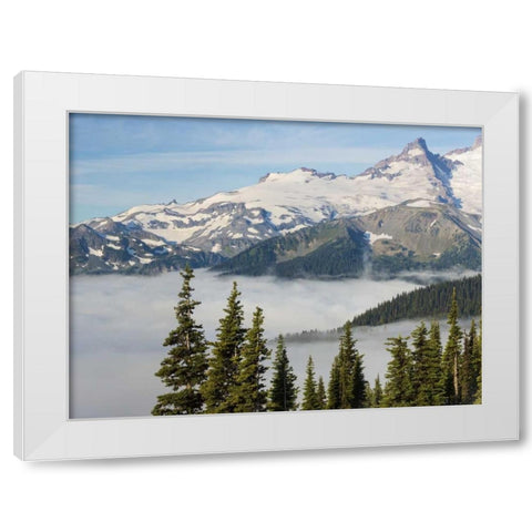 WA, Mt Rainier NP Landscape from Sunrise Point White Modern Wood Framed Art Print by Paulson, Don