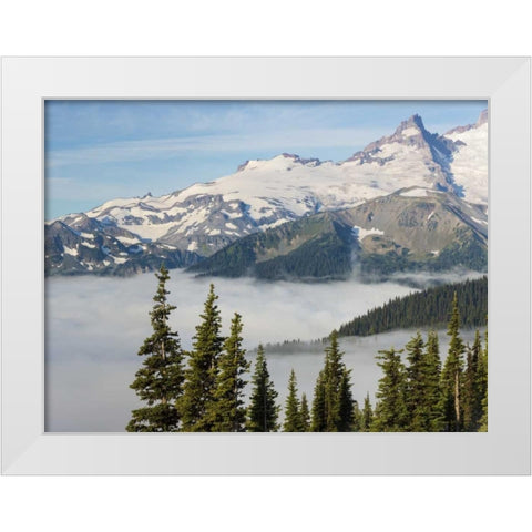 WA, Mt Rainier NP Landscape from Sunrise Point White Modern Wood Framed Art Print by Paulson, Don