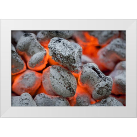 Washington, Seabeck Close-up of hot charcoal White Modern Wood Framed Art Print by Paulson, Don
