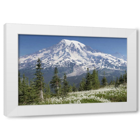 Washington Avalanche lilies and Mount Rainier White Modern Wood Framed Art Print by Paulson, Don