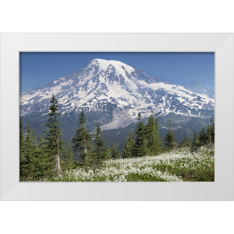 Washington Avalanche lilies and Mount Rainier White Modern Wood Framed Art Print by Paulson, Don