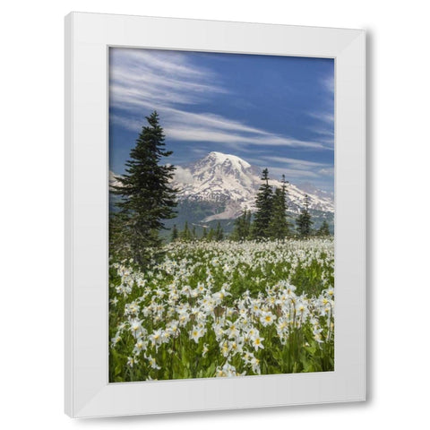 Washington Avalanche lilies and Mount Rainier White Modern Wood Framed Art Print by Paulson, Don
