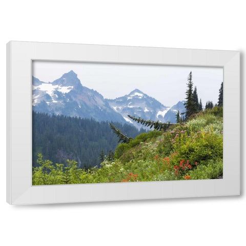 WA Alpine meadow and Tatoosh Range White Modern Wood Framed Art Print by Paulson, Don