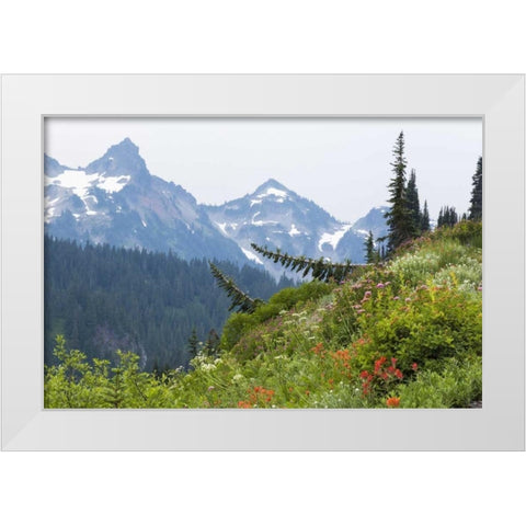 WA Alpine meadow and Tatoosh Range White Modern Wood Framed Art Print by Paulson, Don