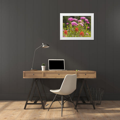 Washington, Mount Rainier NP Wildflowers White Modern Wood Framed Art Print by Paulson, Don