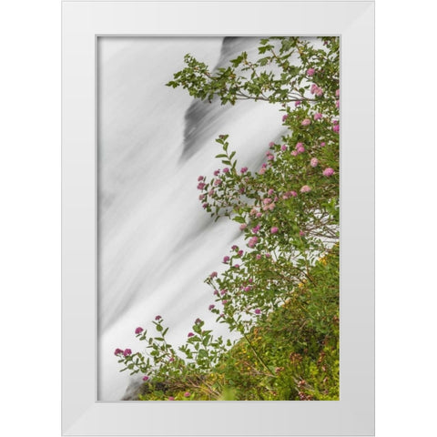 WA, Mount Rainier NP Waterfall in Paradise Creek White Modern Wood Framed Art Print by Paulson, Don