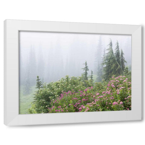 WA, Mount Rainier NP flowers in misty forest White Modern Wood Framed Art Print by Paulson, Don
