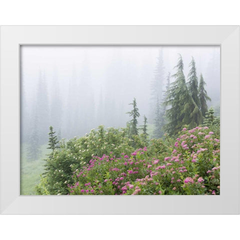 WA, Mount Rainier NP flowers in misty forest White Modern Wood Framed Art Print by Paulson, Don