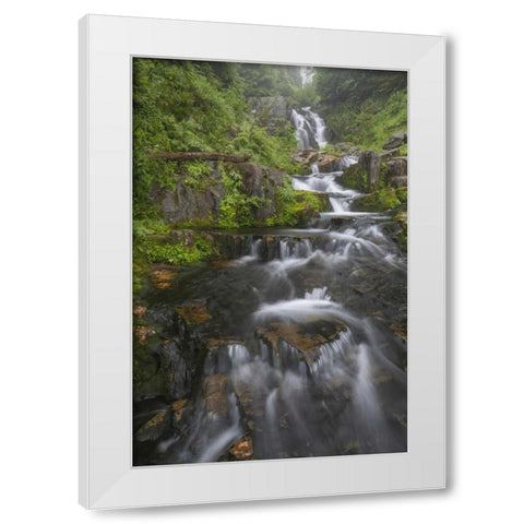 WA, Mount Rainier NP Cascades on Sunbeam Creek White Modern Wood Framed Art Print by Paulson, Don