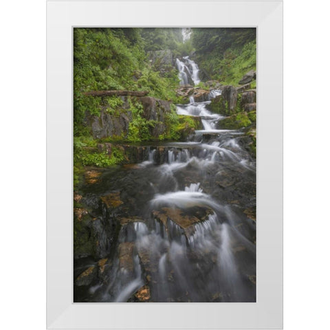 WA, Mount Rainier NP Cascades on Sunbeam Creek White Modern Wood Framed Art Print by Paulson, Don
