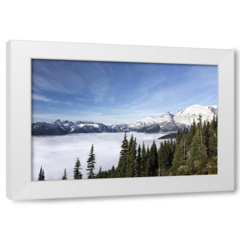 Washington, Mount Rainier NP Sunrise Point White Modern Wood Framed Art Print by Paulson, Don