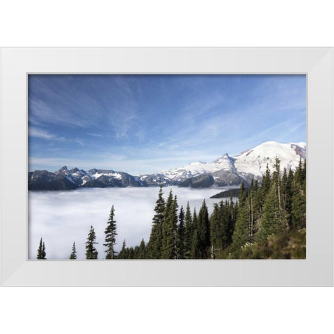 Washington, Mount Rainier NP Sunrise Point White Modern Wood Framed Art Print by Paulson, Don
