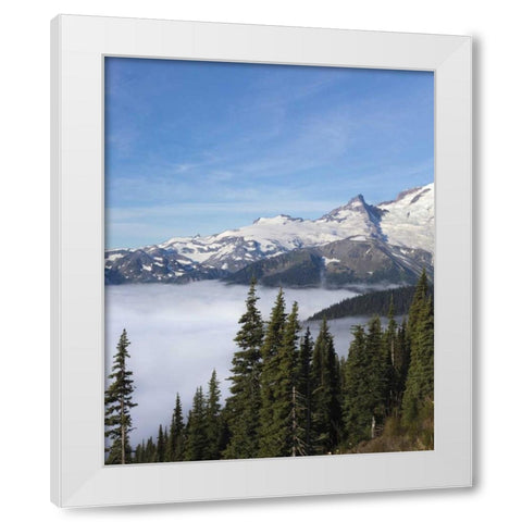 Washington, Mount Rainier NP Sunrise Point White Modern Wood Framed Art Print by Paulson, Don