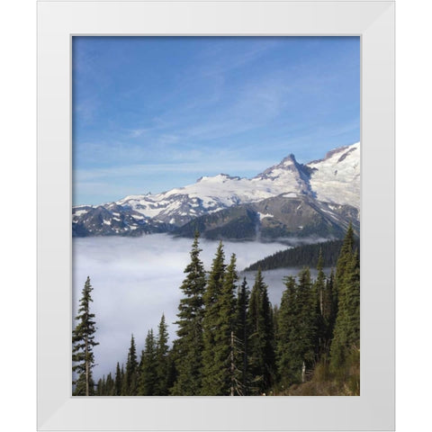 Washington, Mount Rainier NP Sunrise Point White Modern Wood Framed Art Print by Paulson, Don