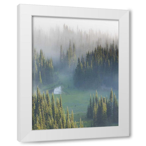 WA, Mount Rainier NP Overview of Surprise Lake White Modern Wood Framed Art Print by Paulson, Don