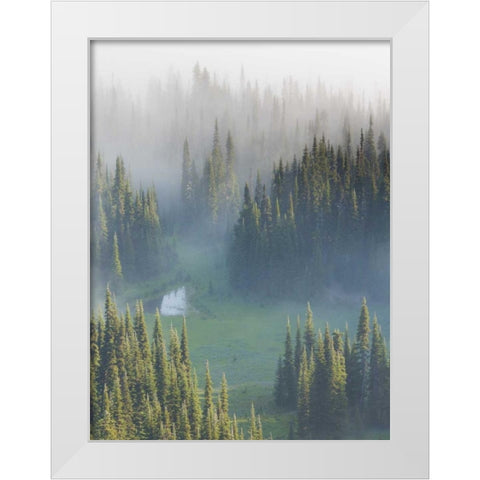 WA, Mount Rainier NP Overview of Surprise Lake White Modern Wood Framed Art Print by Paulson, Don