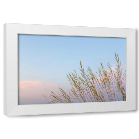 Washington, Seabeck Grasses at sunset White Modern Wood Framed Art Print by Paulson, Don