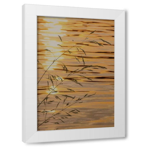 Washington Sunset on water and grasses White Modern Wood Framed Art Print by Paulson, Don
