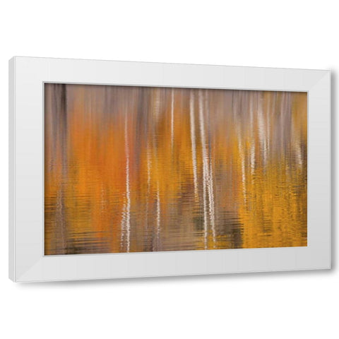 WA, Winthrop Autumn reflections on Beaver Pond White Modern Wood Framed Art Print by Paulson, Don