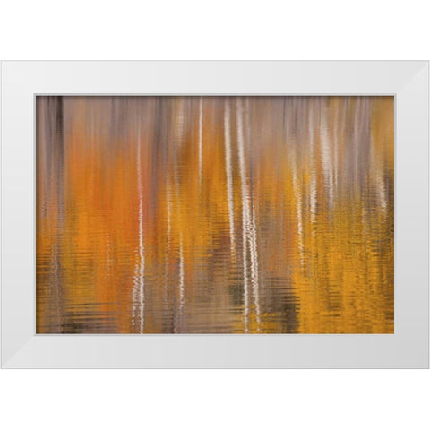 WA, Winthrop Autumn reflections on Beaver Pond White Modern Wood Framed Art Print by Paulson, Don