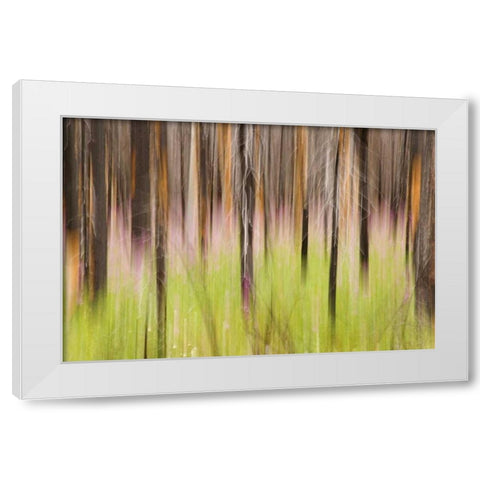 Canada, BC, Motion blur of grass and trees White Modern Wood Framed Art Print by Paulson, Don