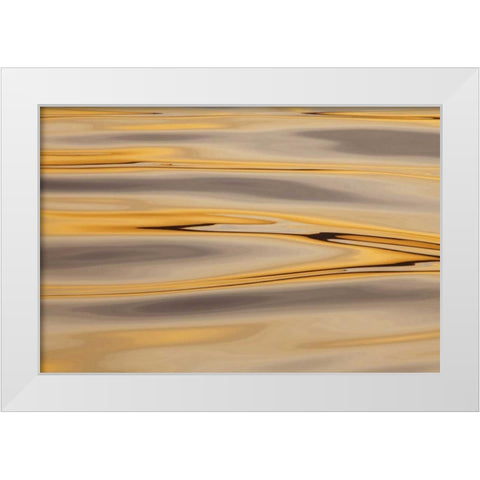Alaska, Cross Sound Sunset reflections on water White Modern Wood Framed Art Print by Paulson, Don