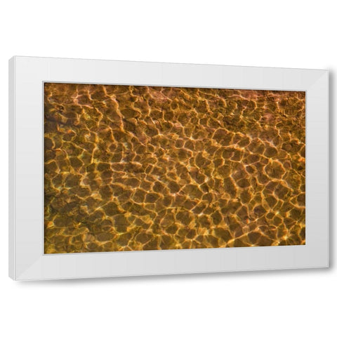 UT, Glen Canyon Sunlight in shallow water White Modern Wood Framed Art Print by Paulson, Don
