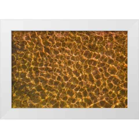 UT, Glen Canyon Sunlight in shallow water White Modern Wood Framed Art Print by Paulson, Don