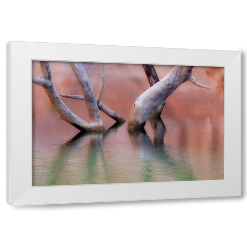 Utah, Glen Canyon Dead cottonwood trunks in lake White Modern Wood Framed Art Print by Paulson, Don